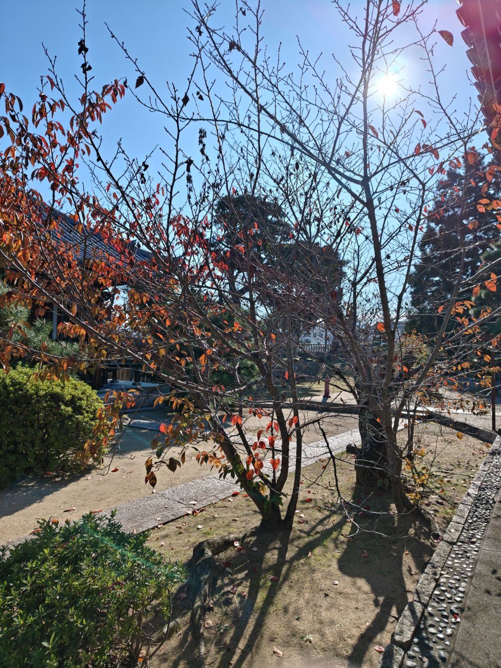 日常会話に潜む仏教用語。「実際」という言葉の本当の意味、ご存知ですか？