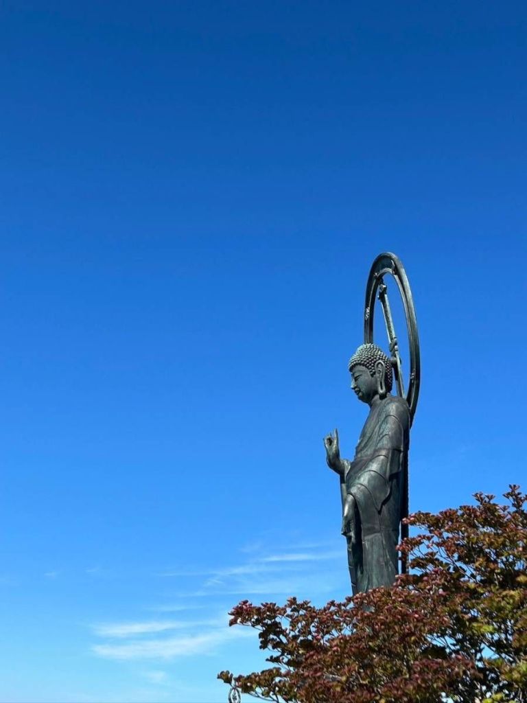 1726700550942-5805685285376351678