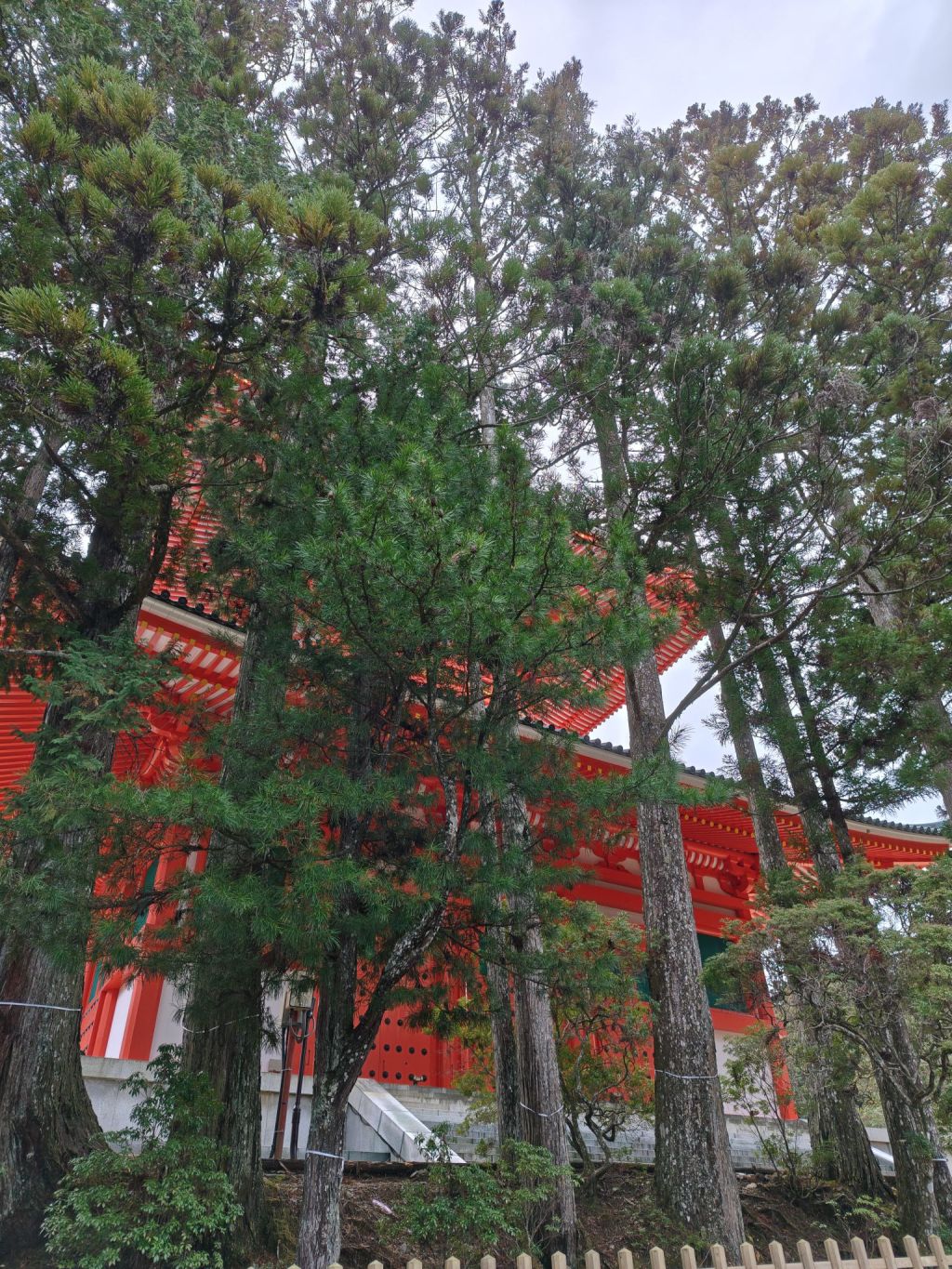 「知識」の本当の意味をご存じですか？ 人生を豊かに導く「善知識」という教え!