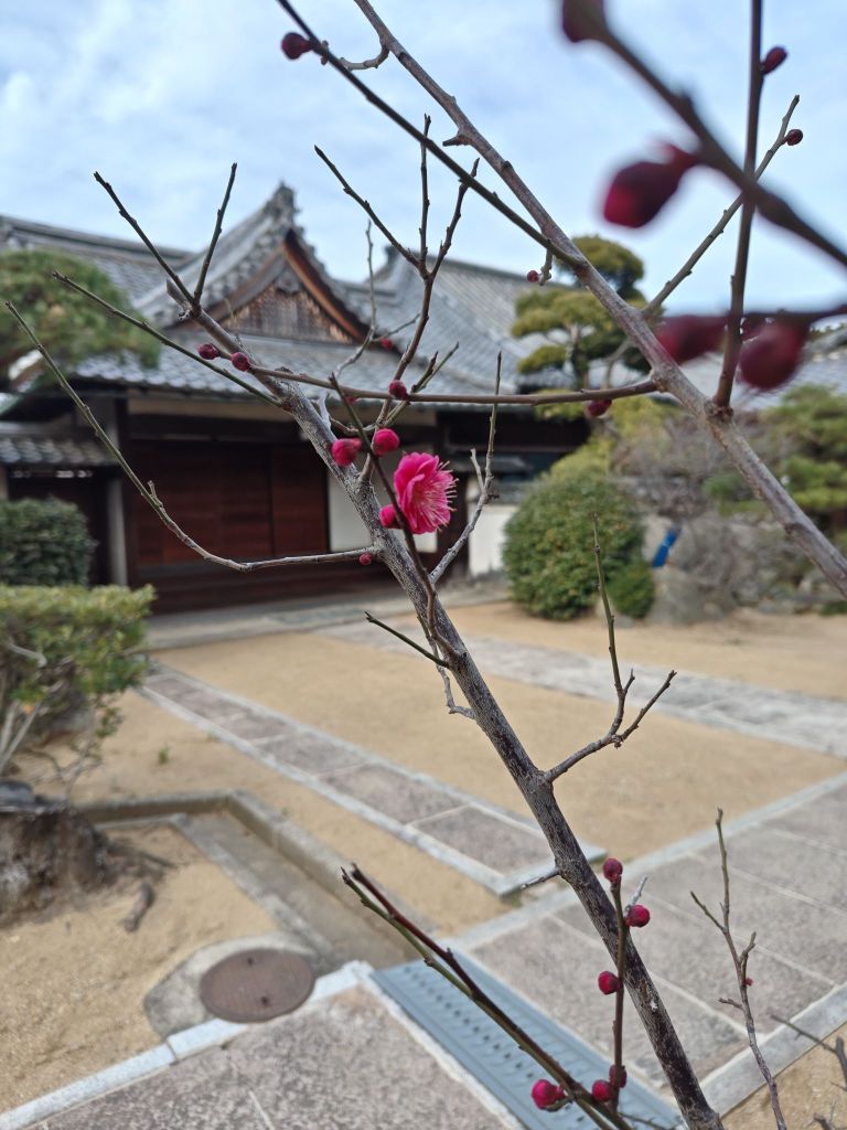 2601201000440716589349069259138033