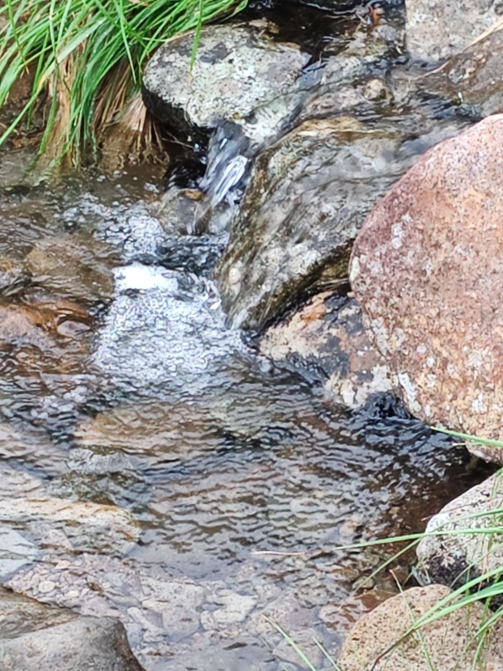 「無住」は空き家にあらず!?仏教が教える、心が自由になるための最高位の智慧