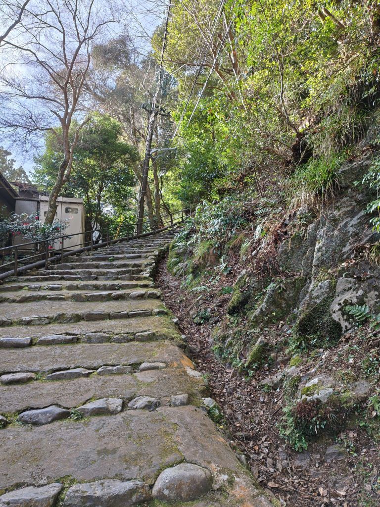 2601080935453656031814251324850255