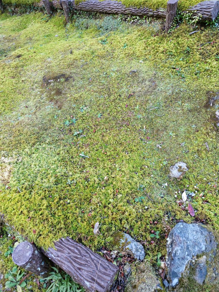 260108094323758873001509389315070