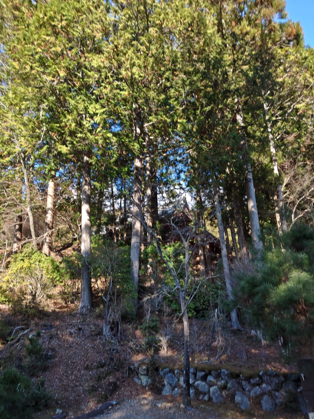 日常に潜む仏教用語。「中間（ちゅうげん）」という言葉が教えてくれる、白でも黒でもない“あわい”の豊かさ