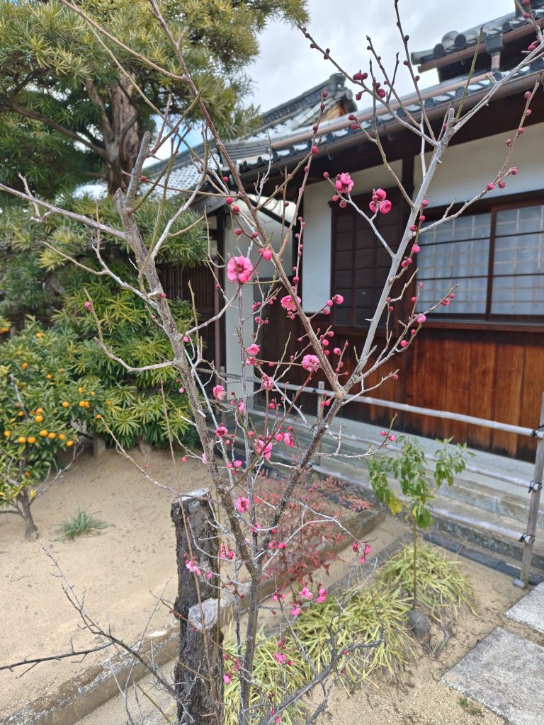 2601251123040656923721474138041451