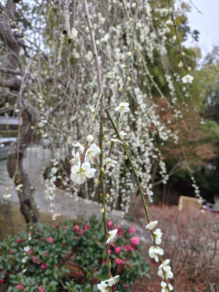 260227134551105511217385933596673