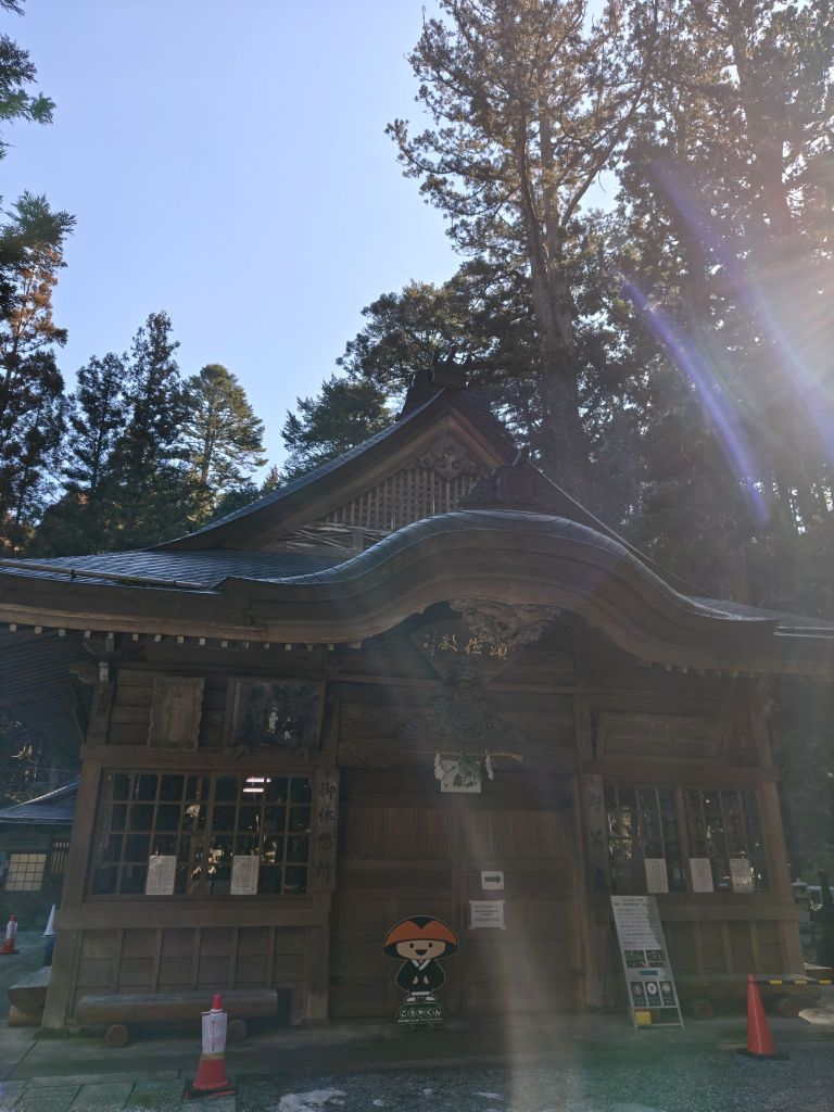 2602211007488243428746774613769558