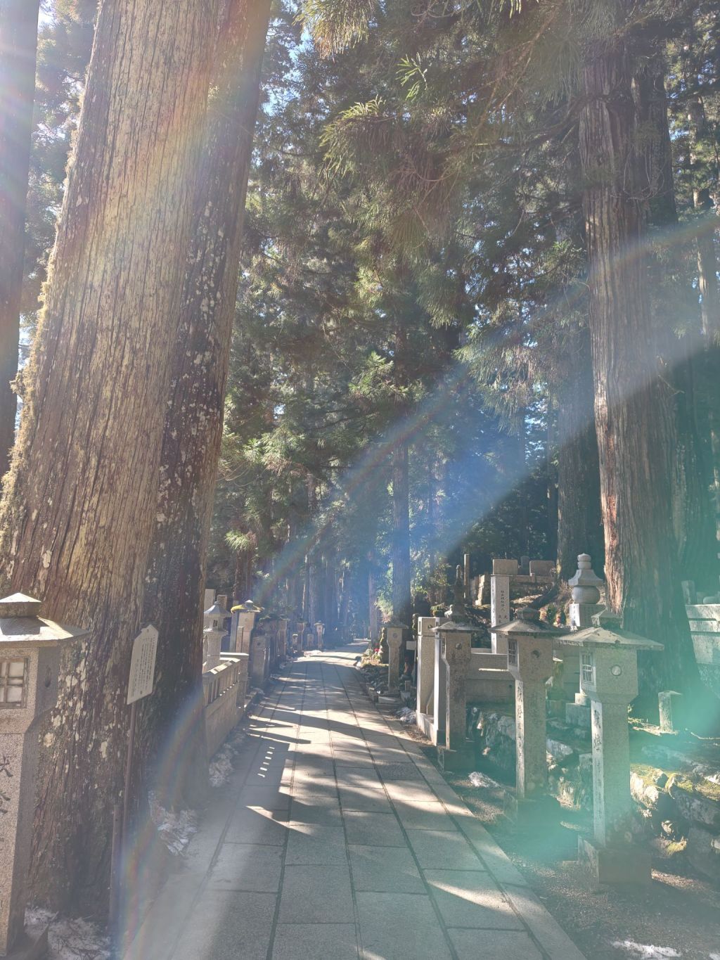 2602211012349883720556761666110755