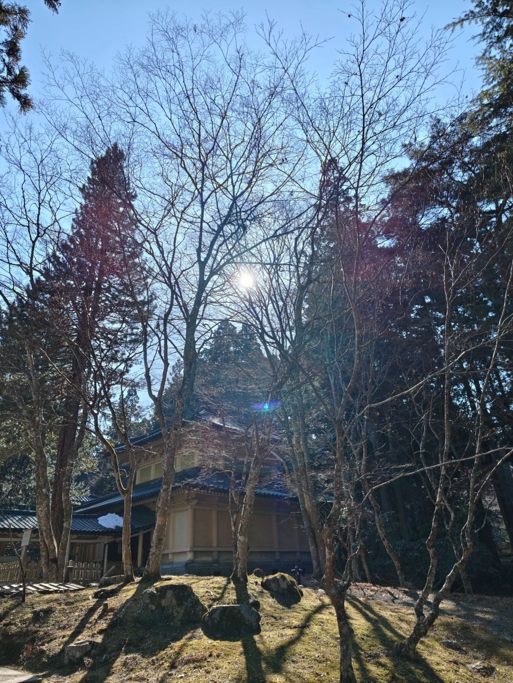 2602211430052985832047992150901896