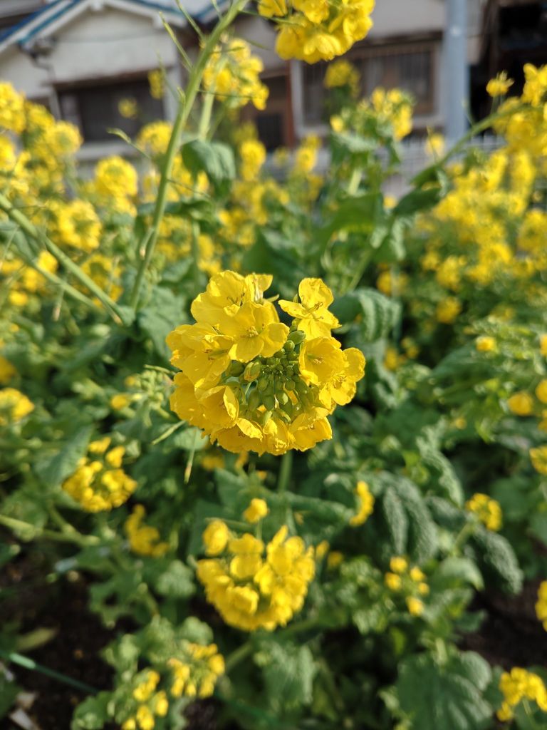 2603071559070184489584391594389894