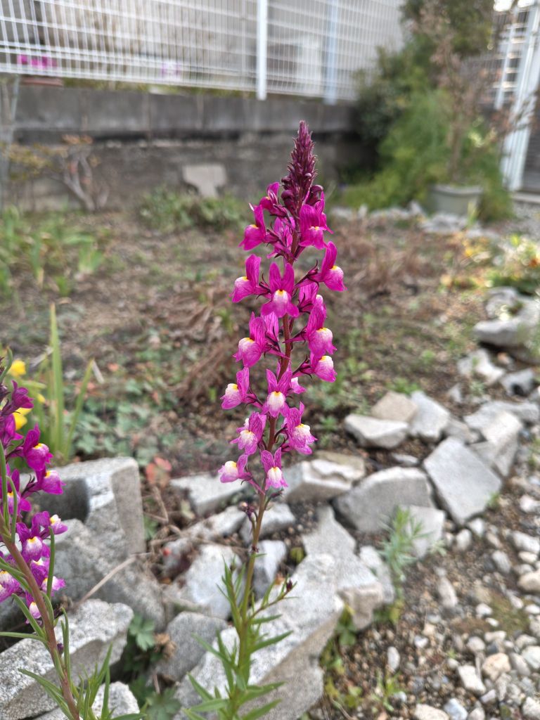 2603071559173684490123842929234168