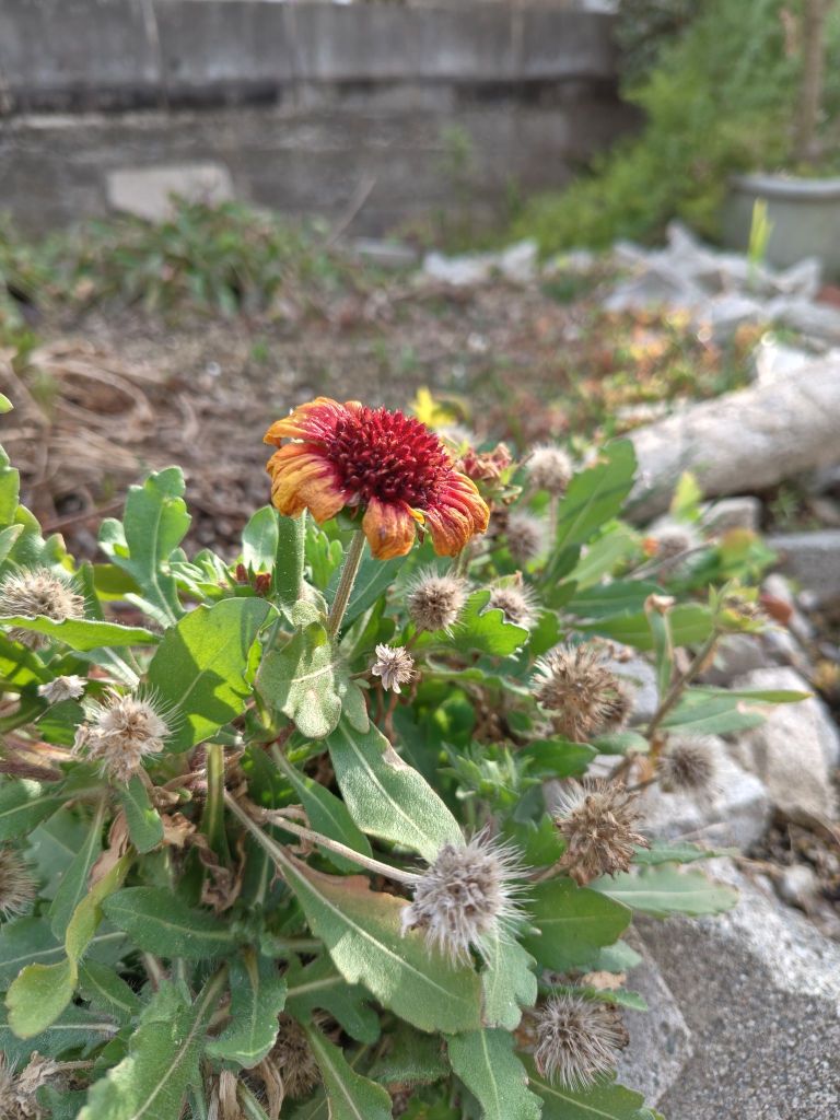 2603071559261192012442020712144663