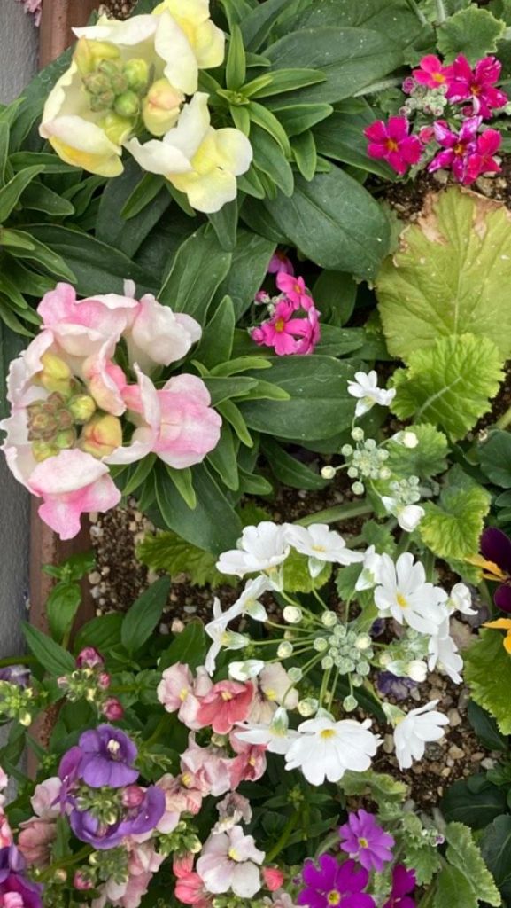 line_oa_chat_260301_0809553115926599475828244