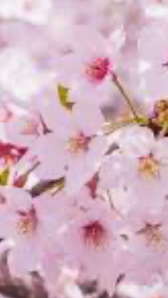 line_oa_chat_260306_0753422811061253809247813