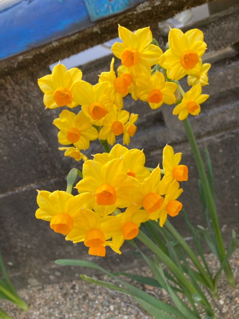 line_oa_chat_260316_2106094388433855693811123