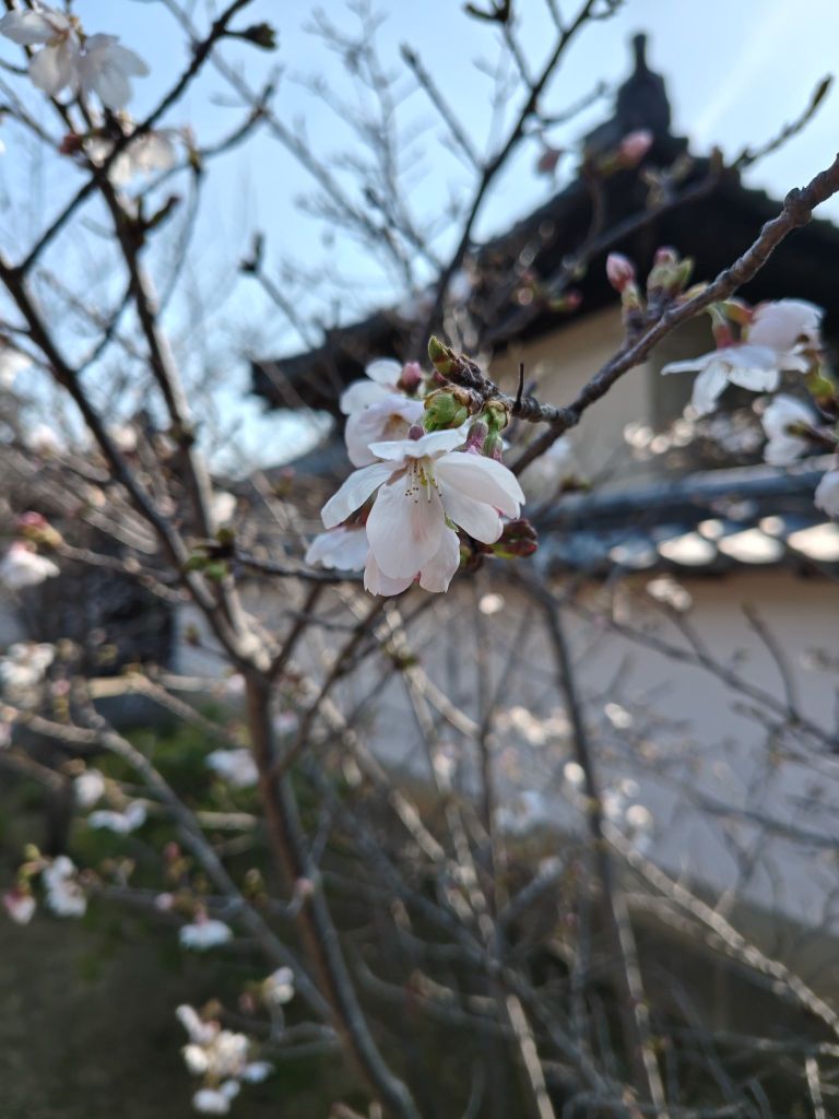 2603271500258626937354328797260629